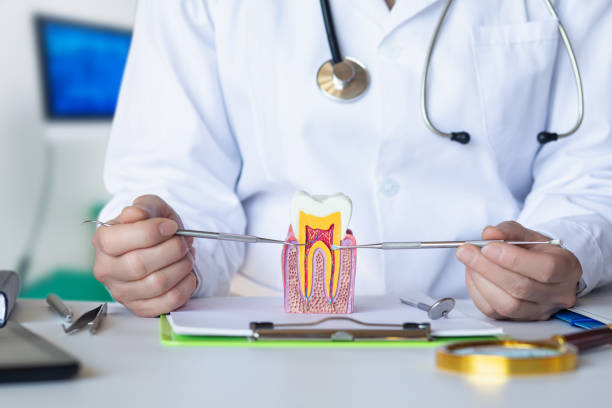 Best Tooth Infection Emergency Dentist  in Grandview Plaza, KS